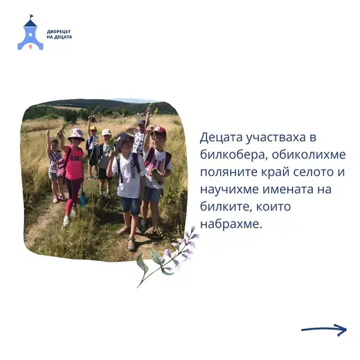 Деца с шапки вървят по пътека през суха поляна и вдигат нагоре набрани билки.